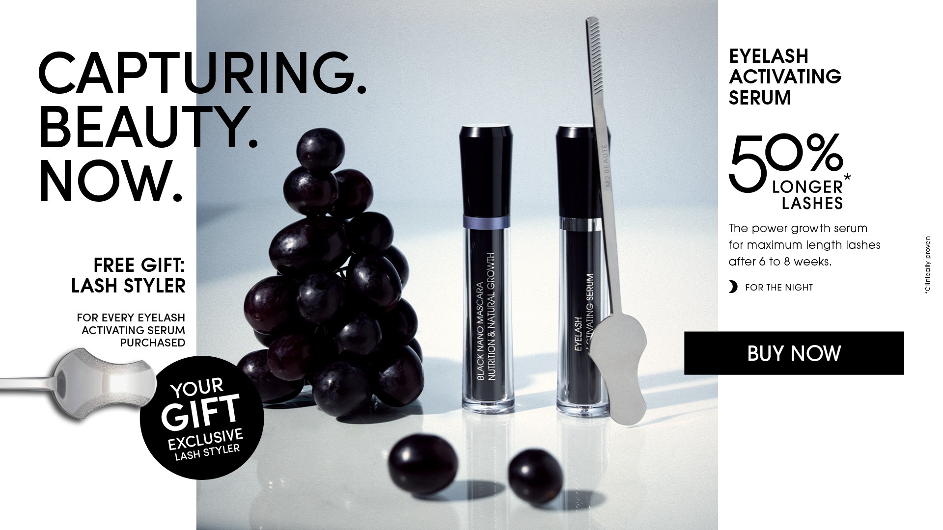 Banner Capturing Beauty EN